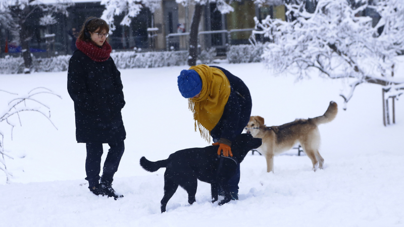 Meteo Balkans съобщи за обрат със снега у нас!