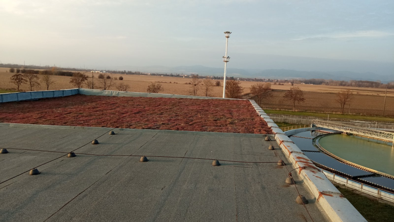 Зелен покрив в СПСОВ Кубратово е новият научен експеримент на „Софийска вода“, част от Веолия, и изследователски център „CLEAN and CIRCLE“