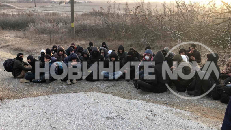 Полицаи отидоха до поле до Нова Загора и се хванаха за главата ВИДЕО