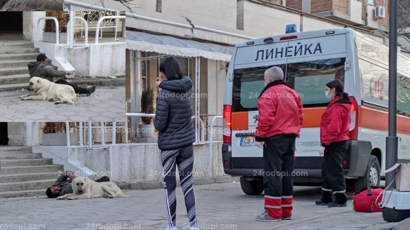 Уличен пес слиса медиците в Кърджали ВИДЕО 