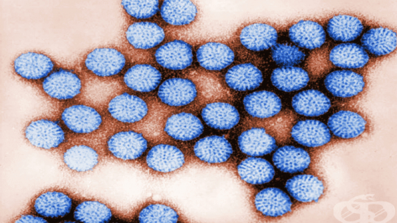 Аларма: Чакащите втора доза срещу ротавирус деца са в патова ситуация
