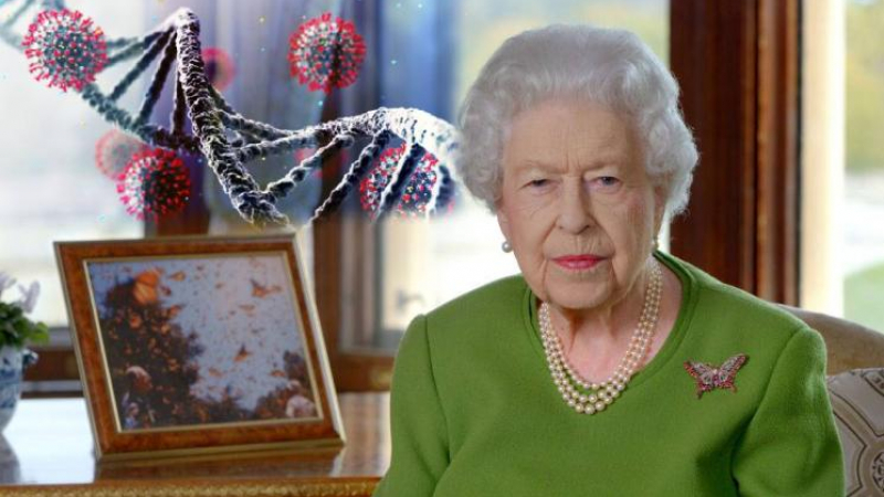 Астроложката Алена разкри тайна за смъртта на Елизабет II 