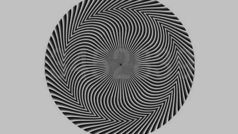 Оптична илюзия скара жестоко мрежата