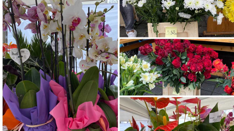 Цветята удариха тавана за 8 март, плащаме 36 лв. за орхидея