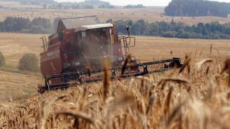 Предстои световен глад: Русия забранява износа на зърно 