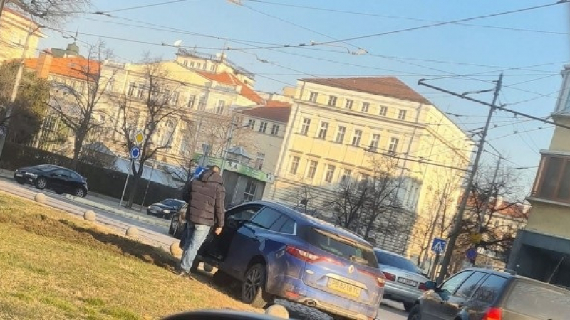 Софиянци осмяха пловдивски шофьор "кацнал" върху колчета на паметника Левски