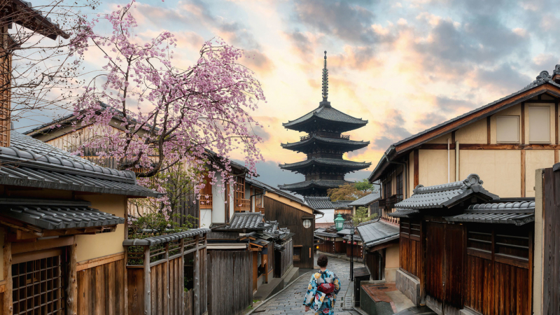 Кога е най-евтино да посетите Япония СНИМКИ