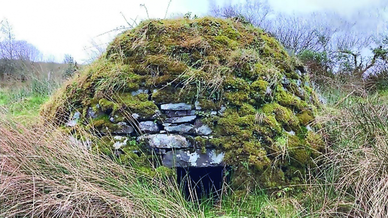 Какво се крие зад стените на голите сауни в Ирландия?