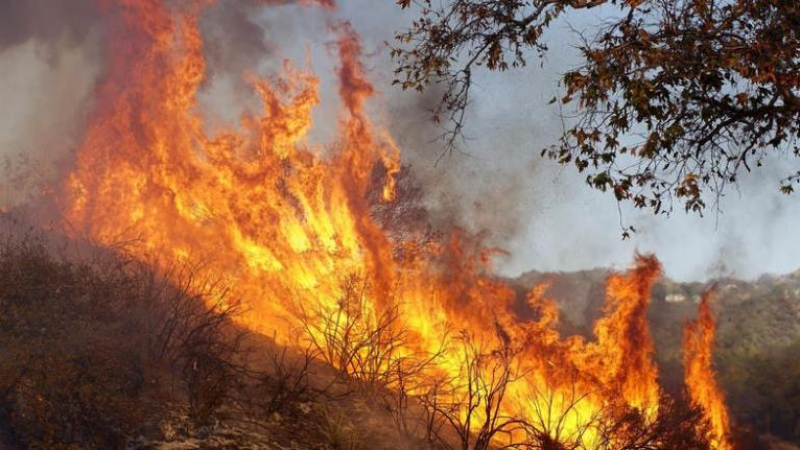 Пожарникарите пощръкляха: 18 пожара само за ден в Пловдив