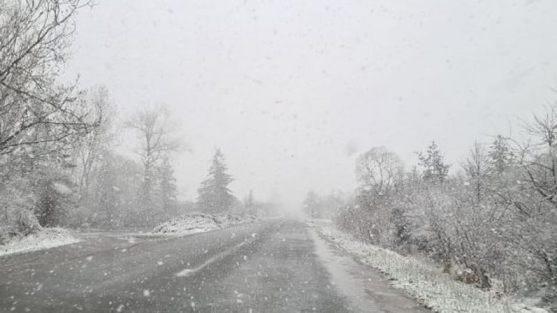 Сняг на парцали се сипе в Софийско, а във Варна... СНИМКИ