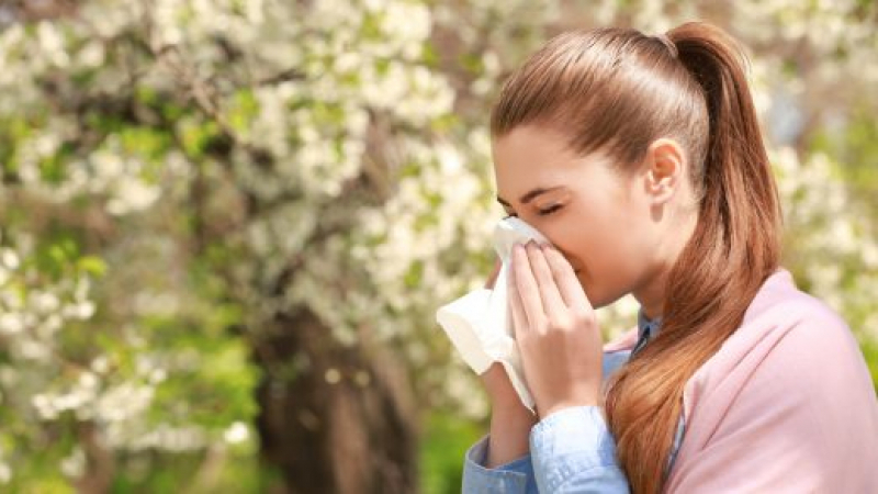 4 хитринки, борещи сезонната алергия
