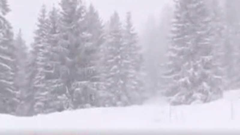Половин метър сняг падна в Сърбия ВИДЕО 