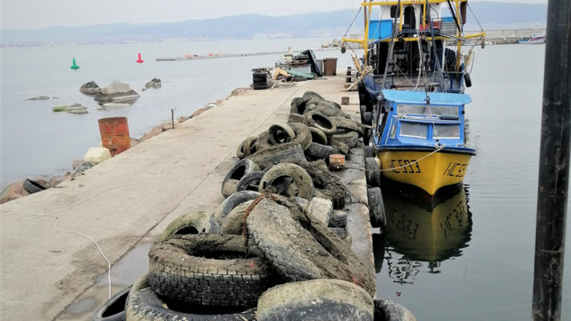 Вижте какво чудо излезе от морското дъно край Несебър СНИМКИ