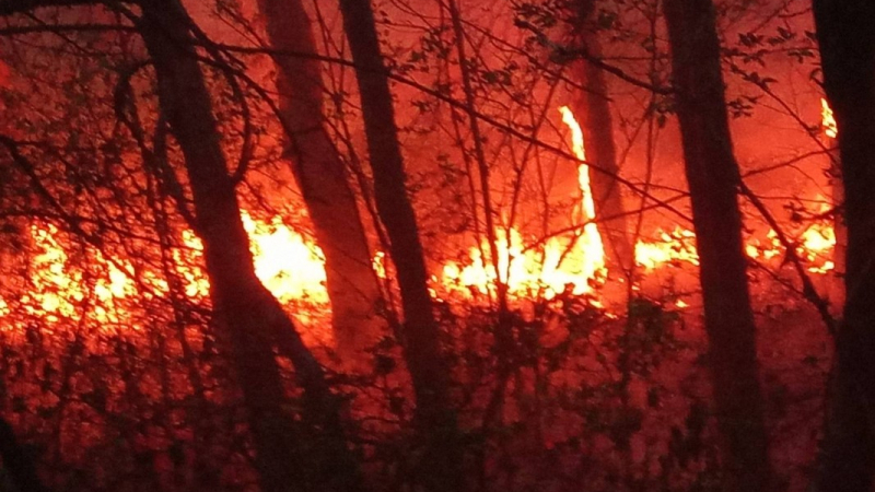 Овладян е големият горски пожар край Илинденци