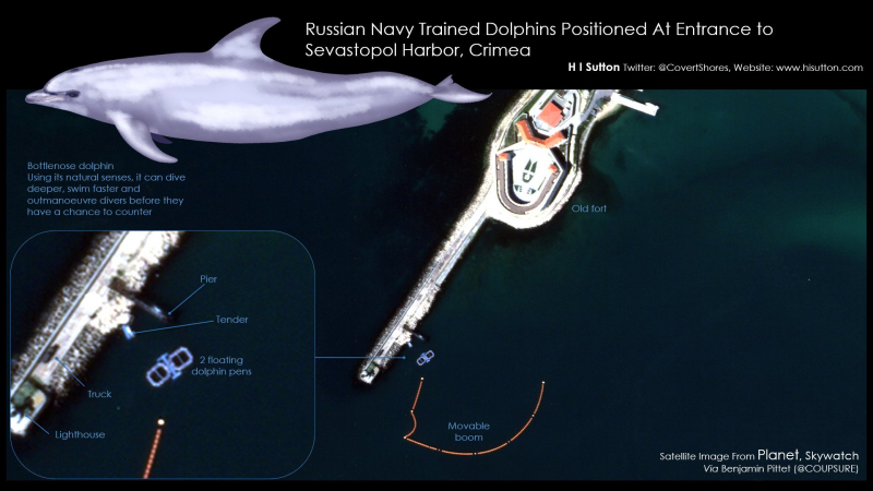 Русия пусна делфини-шпиони да пазят базата в Севастопол СНИМКИ