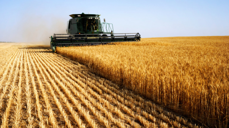 Украйна е изнесла над 1 млн. тона зърно въпреки войната