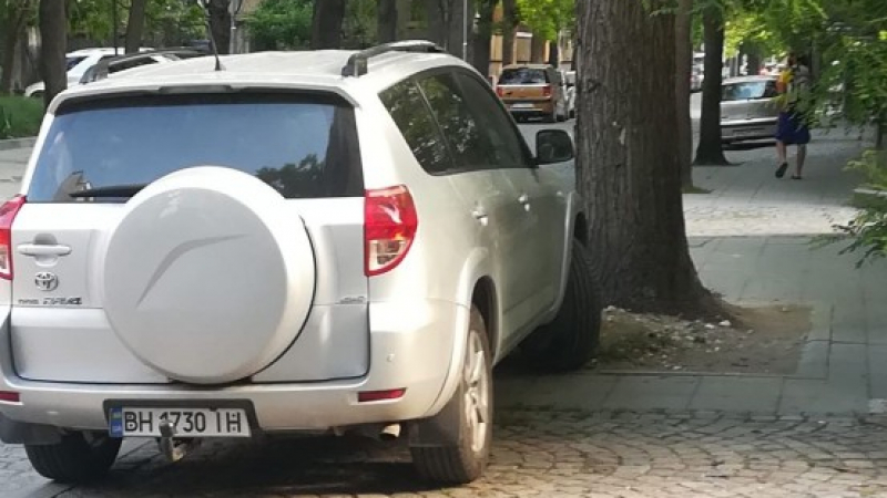 Пловдивски бизнесмен изригна гневно заради "действията" на паяка срещу украински шофьор СНИМКИ 