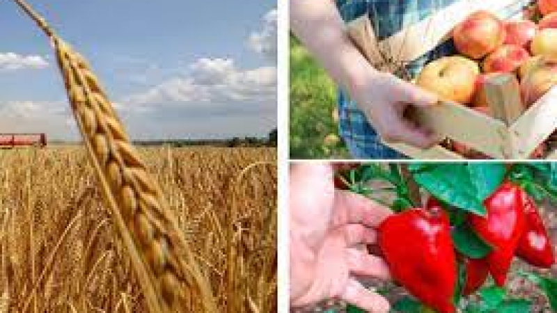 Държавен фонд Земеделие отпусна 30 млн. лв. 
