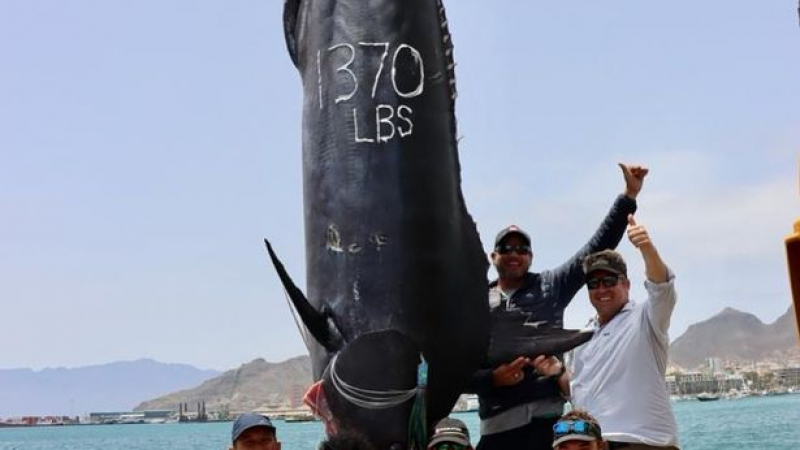 Рибари уловиха истинско чудовище, тежащо 621 кг