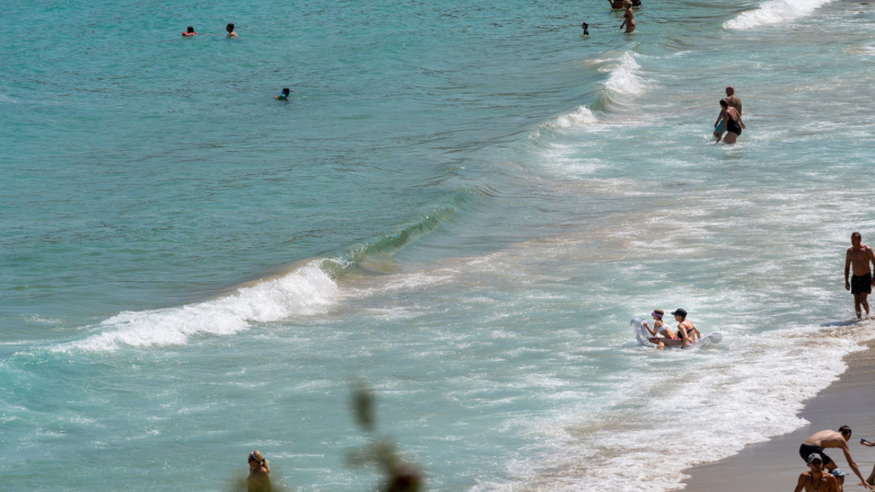 Пазете се! Ужасна лилава напаст пълзи към гръцките плажове