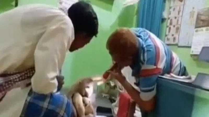 Ранена маймуна сама отиде на лекар в болница за хора ВИДЕО