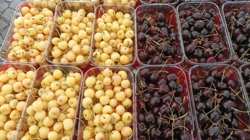 Пресни плодове предлагат на фермерския пазар "Иван Вазов"