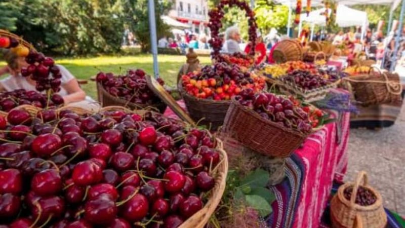 Празник на черешата ще има на пазар Красно село