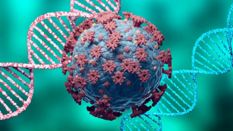Пандемията промени генетиката на вирусните щамове