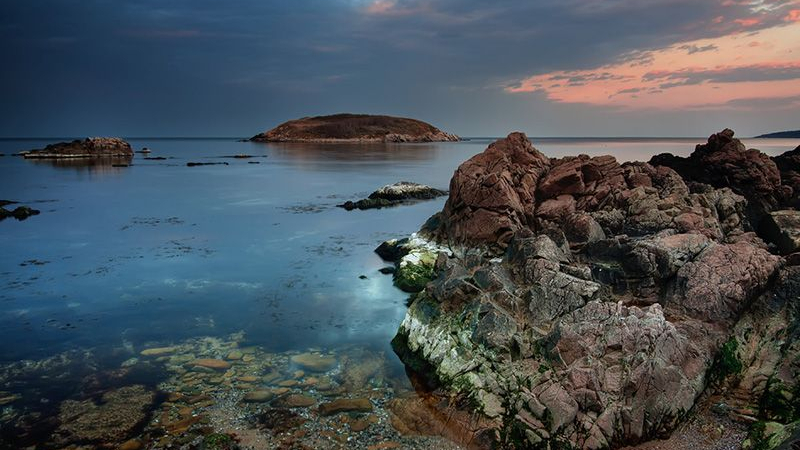 Мрачна легенда за Змийския остров разкрива защо никой не иска да живее там