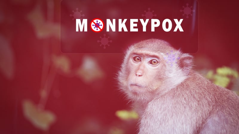 Маймунска шарка: Какво представлява и как да се предпазим