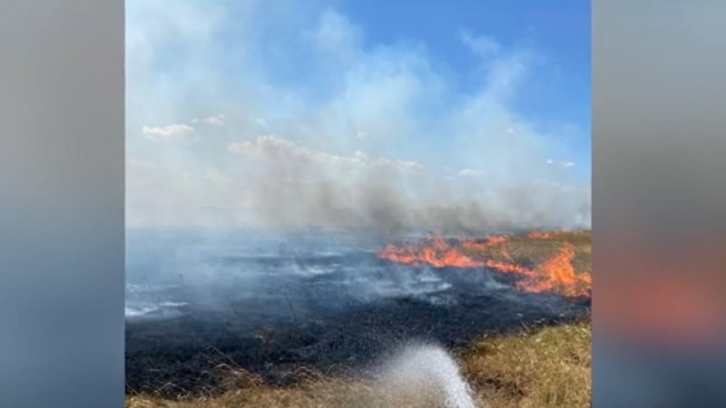 Френско военно учение направи голяма беля в Румъния 