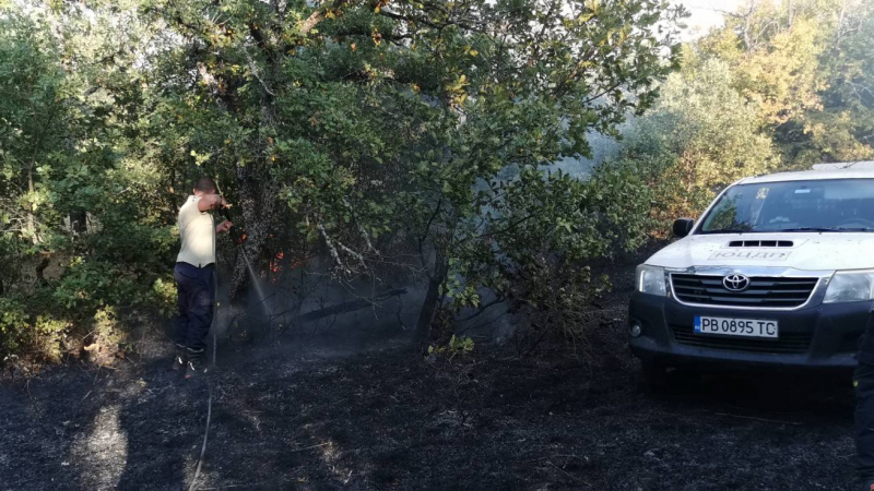 Страшен огнен ад в Пловдивско: Евакуират старици от вили СНИМКИ