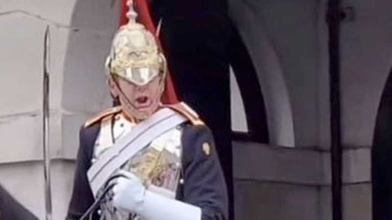 Шокираща сцена пред Бъкингамския дворец с кралски гвардеец и туристка ВИДЕО