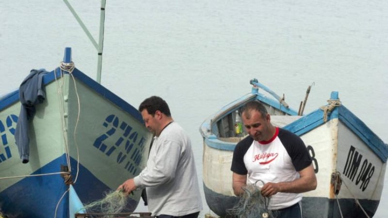 Тази новина за тварите, които плуват край нашите брегове на Черно море, смълча всички
