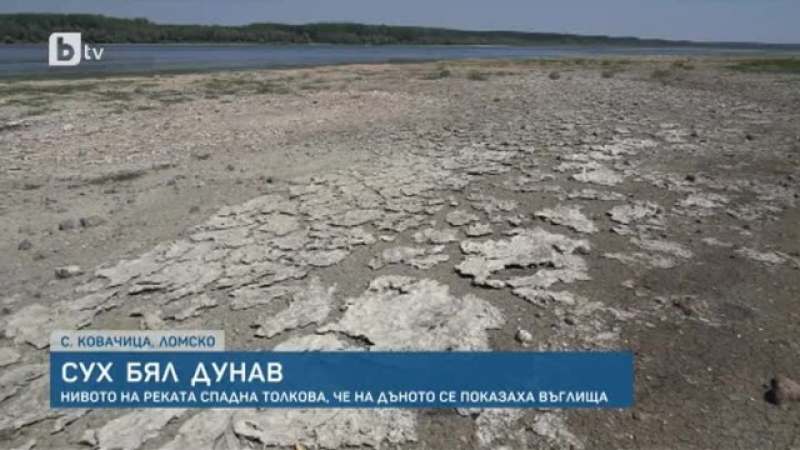 Неочаквано: Нивото на река Дунав спадна толкова, че на дъното се показаха... ВИДЕО