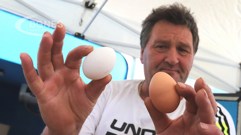 Производители със зловеща прогноза: Наесен яйцето ще удари 50 стотинки!