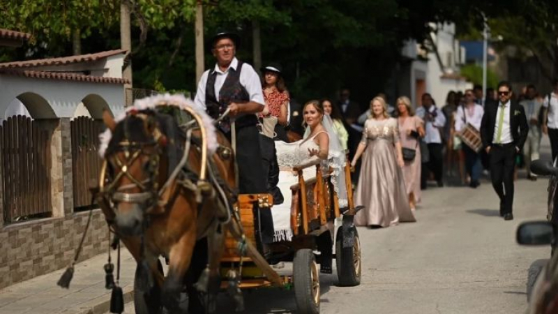 Уникална сватба с паничерска каруца събра цял свят в Хисаря СНИМКИ