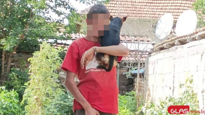 Къщата на ужасите: Младеж изнасилва кучета в Плевенско, посягал е и на деца СНИМКИ