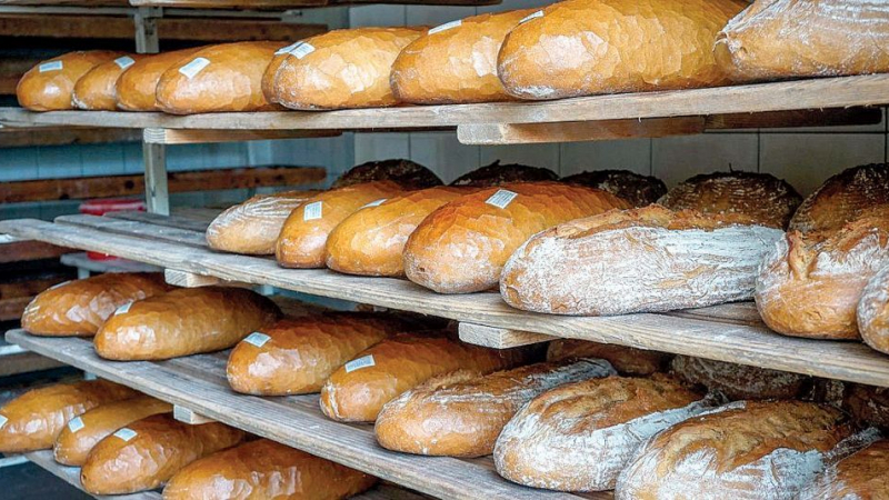 Тайни проби разкриха: Ядем опасен хляб от украинско зърно!