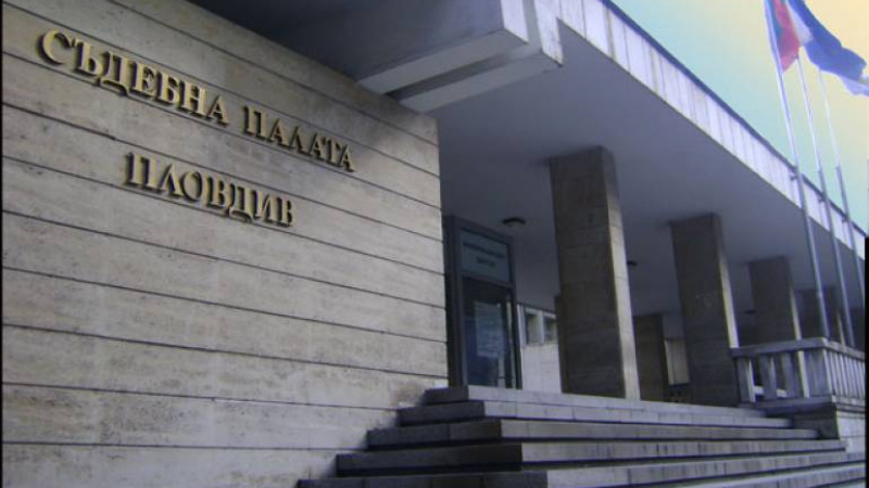 Задържаха майката на битото дете в Пловдив, прокуратурата повдигна обвинение 