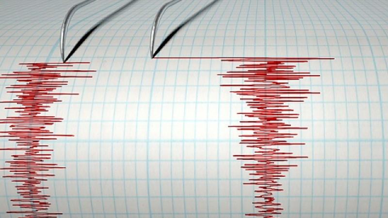 Земята се разтресе много силно!
