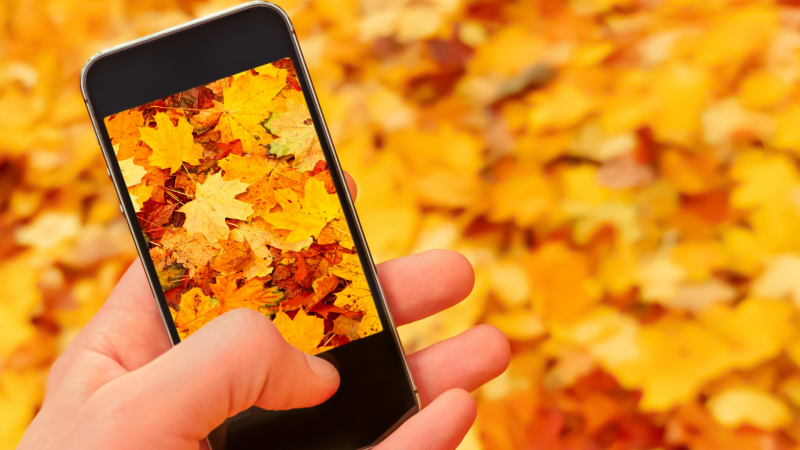 До края на октомври: Промоционални цени за избрани модели смартфони от А1
