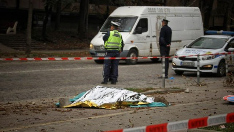 Примката се затяга: Решават съдбата на виновника за смъртта на 19-г. момиче в София