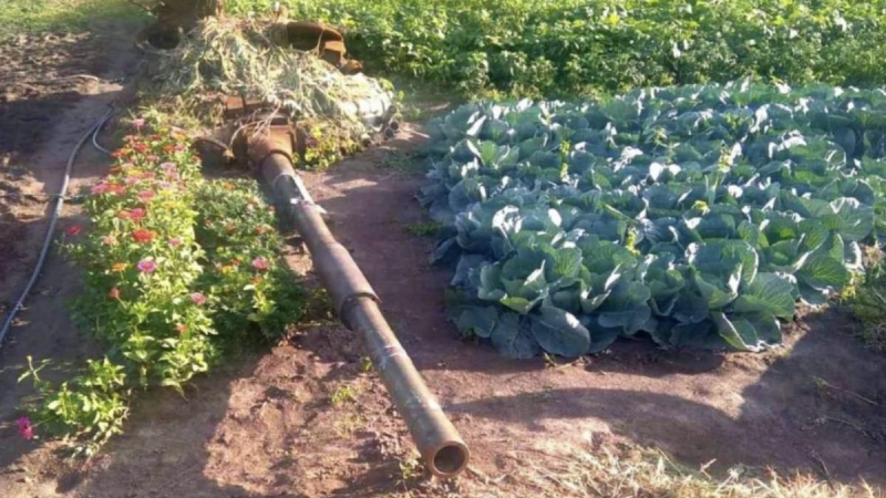 Хит в мрежата: Руски танк получи втори живот в украинска градина ВИДЕО