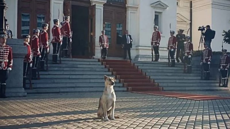 Пълен обрат с кучето пред парламента СНИМКИ