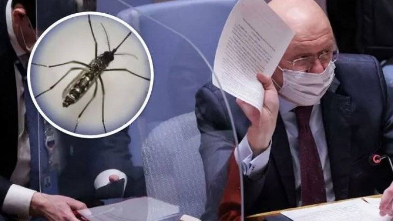 Русия обвини Украйна, че използва US бойни комари в битката за Херсон ВИДЕО