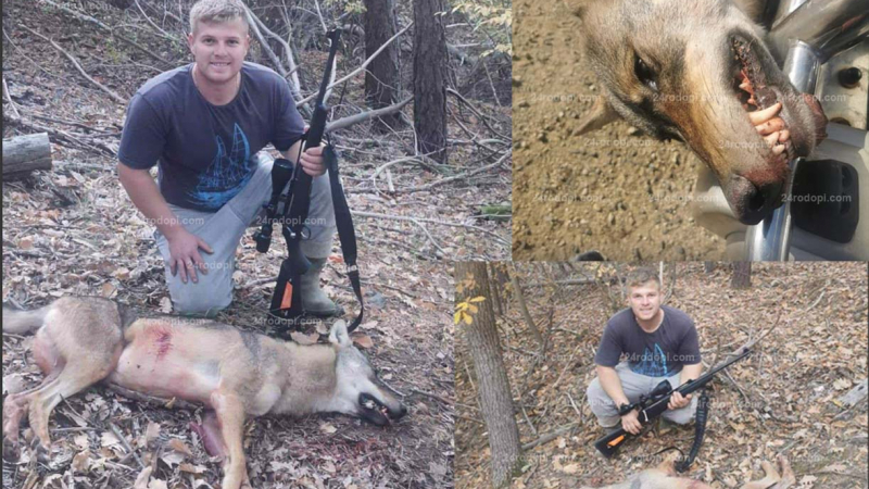 Млад ловец повали вълк с изстрел от 200 метра край Велешани