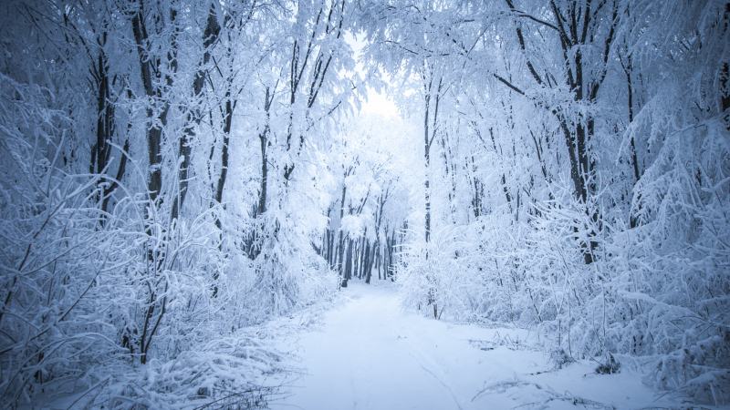 Синоптичката Стойчева: Гответе се за студ и сняг на тези дати през декември 