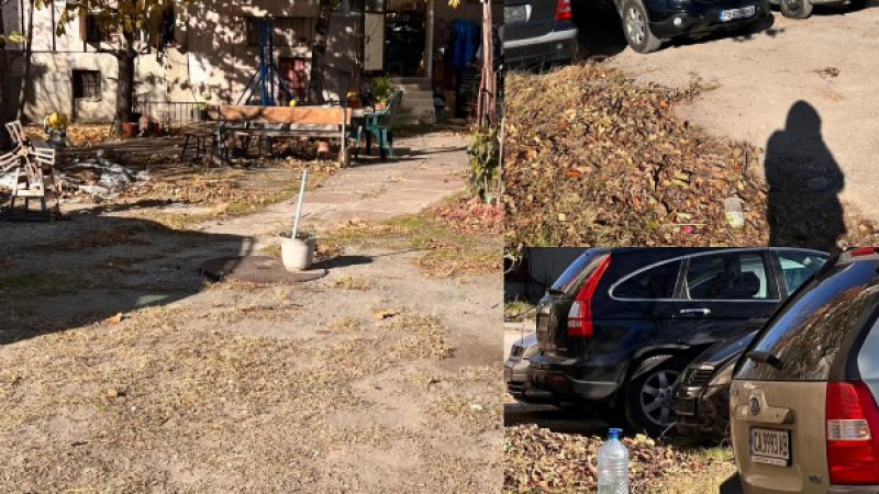 Напук на общината и съседите: Пловдивчанката с частен двор под панелка продължава да наглее СНИМКИ