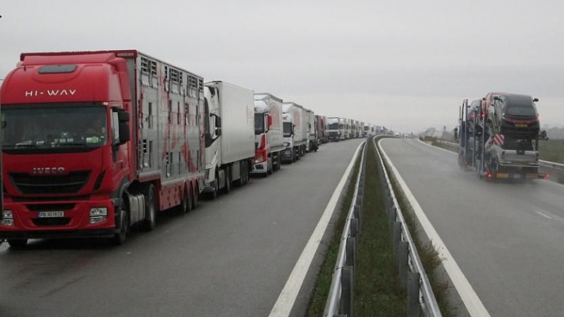 Отказан Шенген: Румънските превозвачи удариха по масата, ето какво настояват да се случи с България